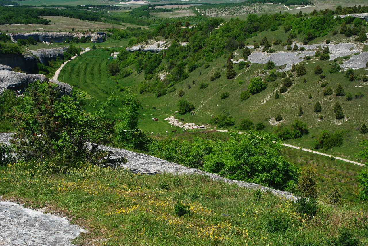 Почвы Крыма фото. Фото пустых земель Крыма.