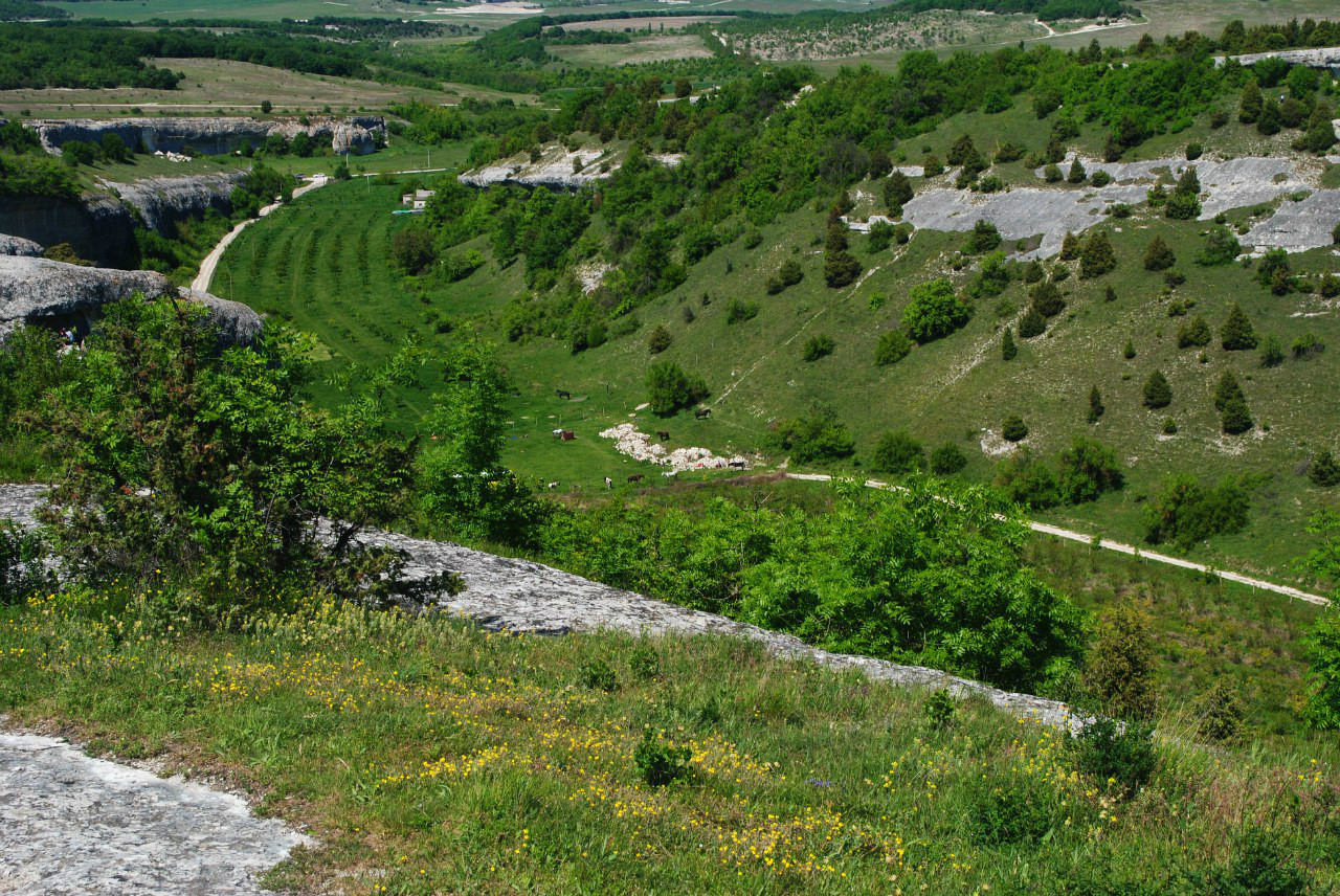 Новые земли крым. Почвы Крыма фото. Фото пустых земель Крыма.